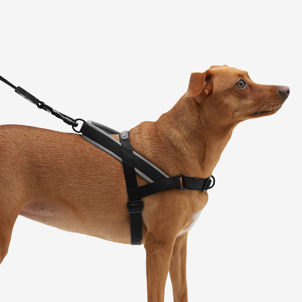 Zee.Dog Softer Walk Harness Gotham - Arnés para Perros