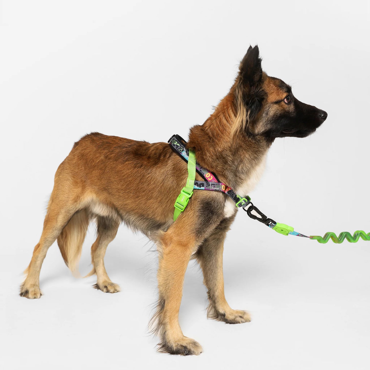 Zee.Dog Softer Walk Harness Manifesto - Arnés para Perros