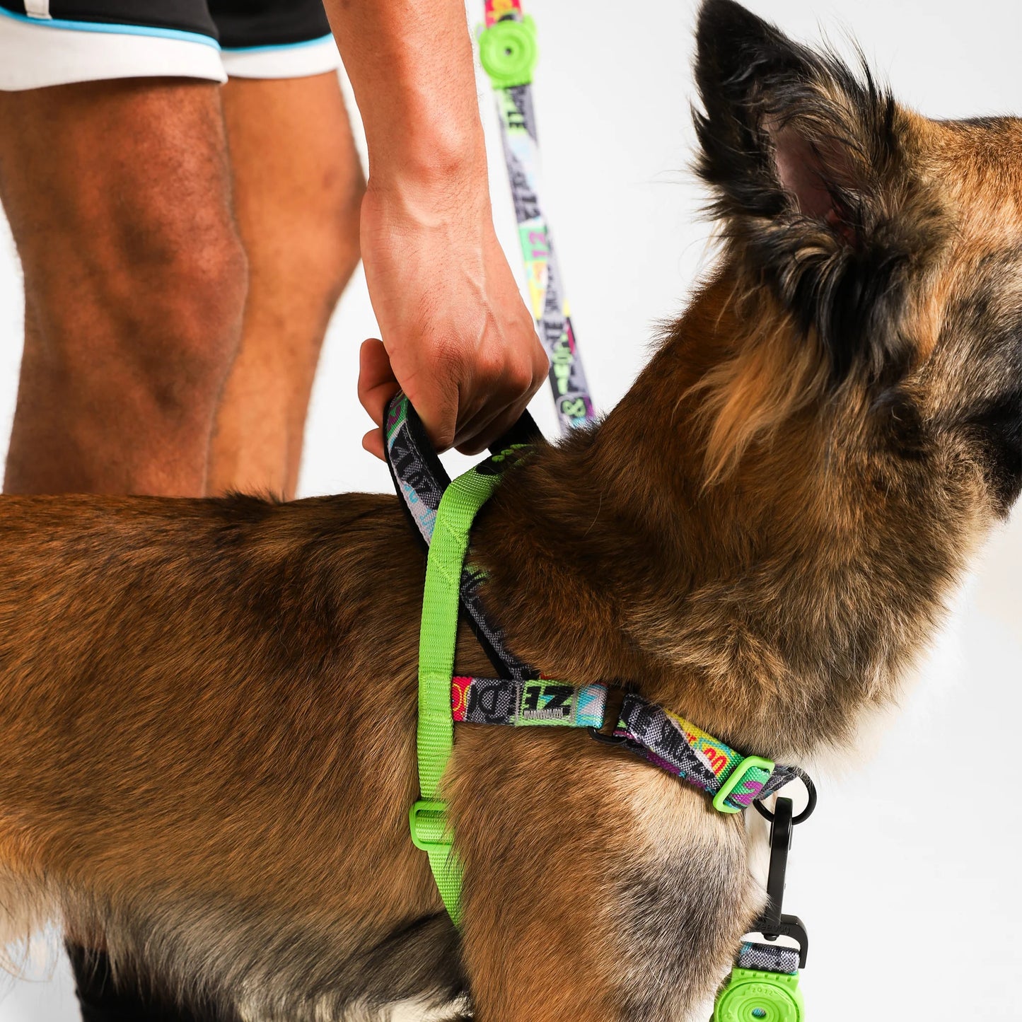 Zee.Dog Softer Walk Harness Manifesto - Arnés para Perros