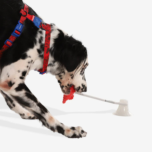 Zee.Dog Tug Toy Spiderman - Juguetes para Perros