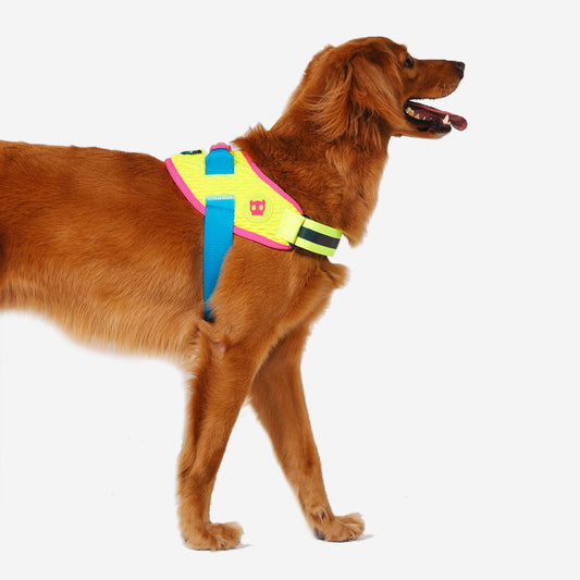 Zee.Dog FlyHarness CMYK - Arnés para Perros