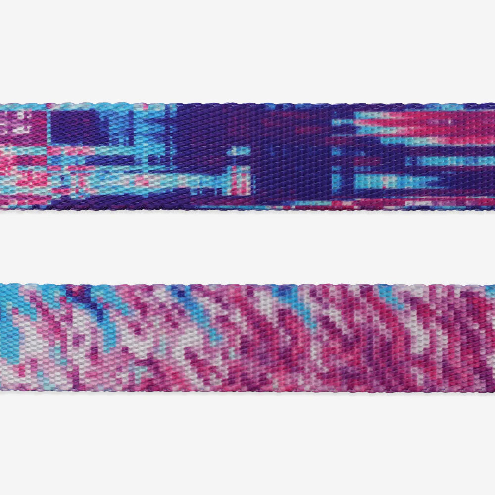 Zee.Dog Leash Glitch Error #502 - Correas para Perros