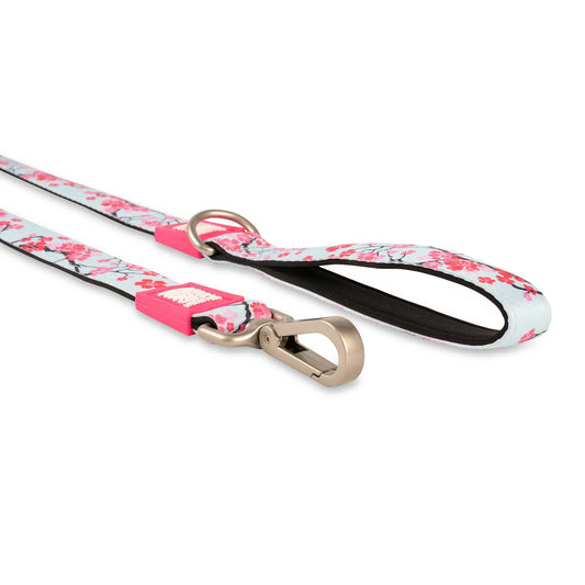 Max and Molly Short Leash Cherry Bloom - Correas para Perros