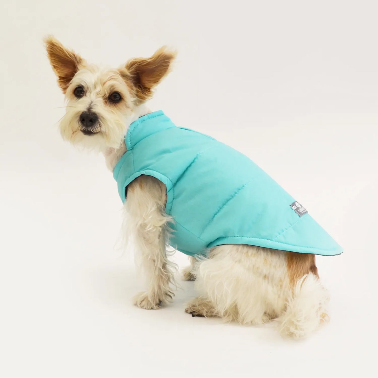 Chaleco Lifesaver Menta Wawaw - Ropa para Perros y Gatos