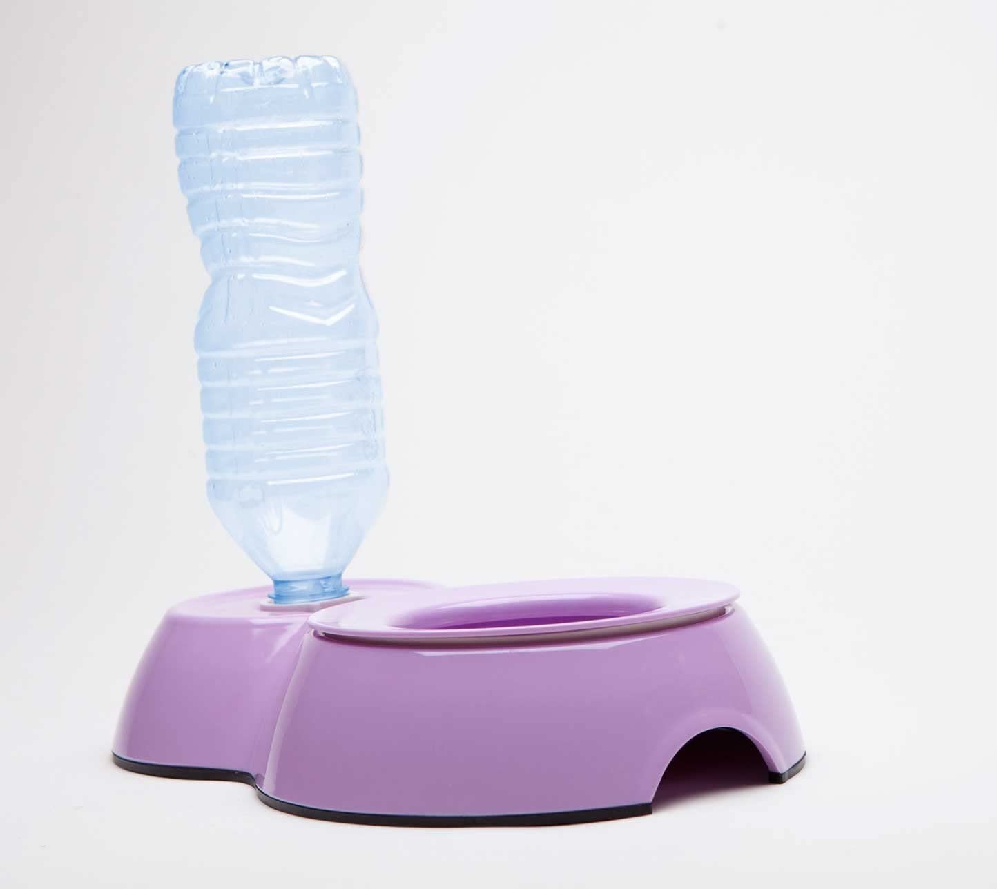 Zootopia Dispensador de Agua Morado Small