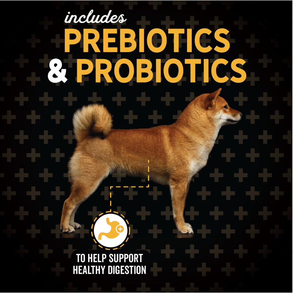 Evolve Classic Carne - Alimento para Perros