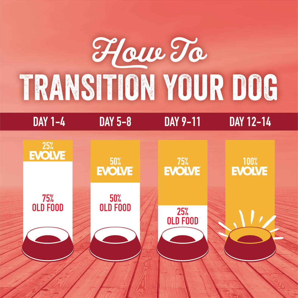 Evolve Classic Carne - Alimento para Perros
