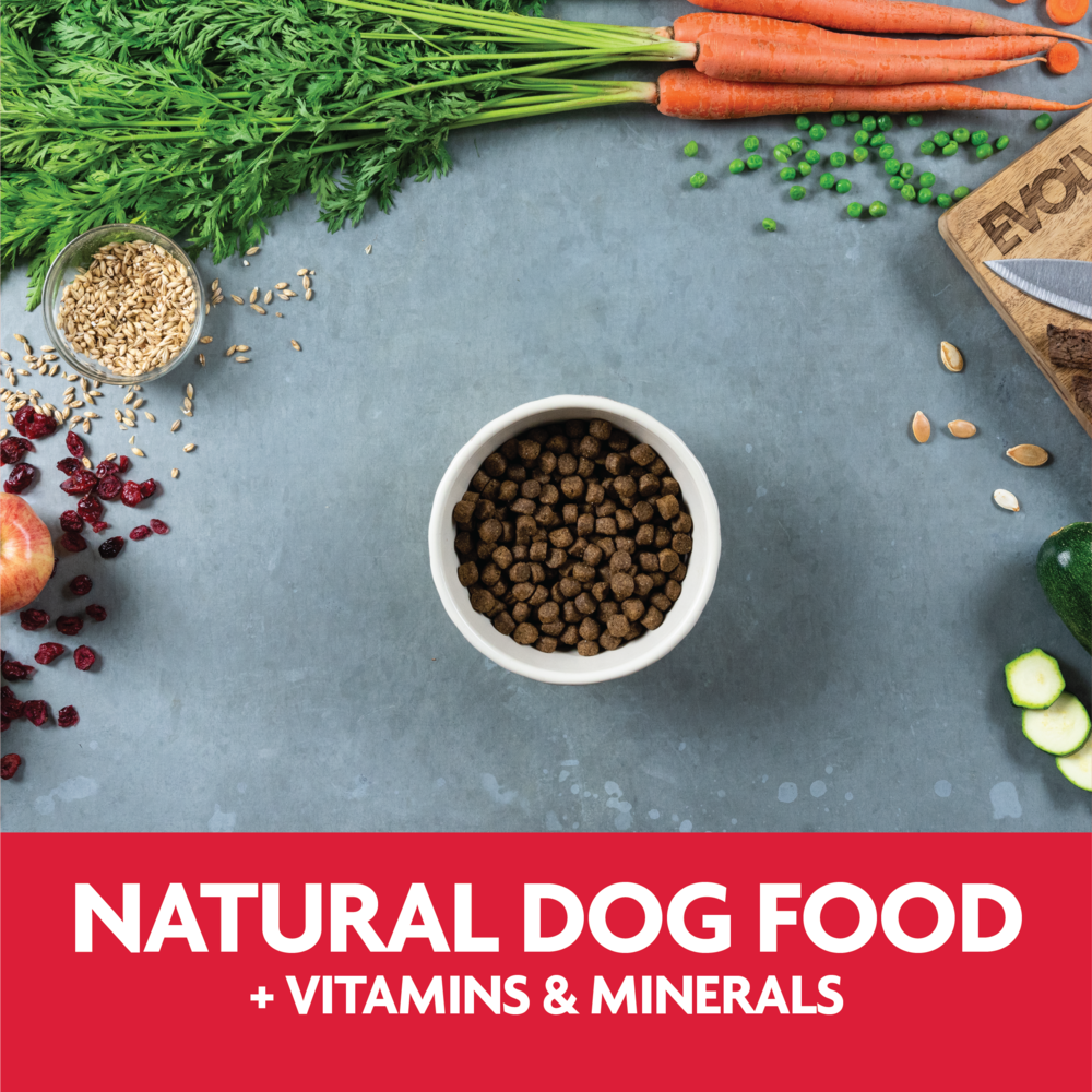 Evolve Classic Carne - Alimento para Perros