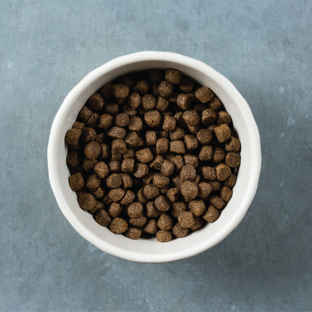 Evolve Classic Carne - Alimento para Perros