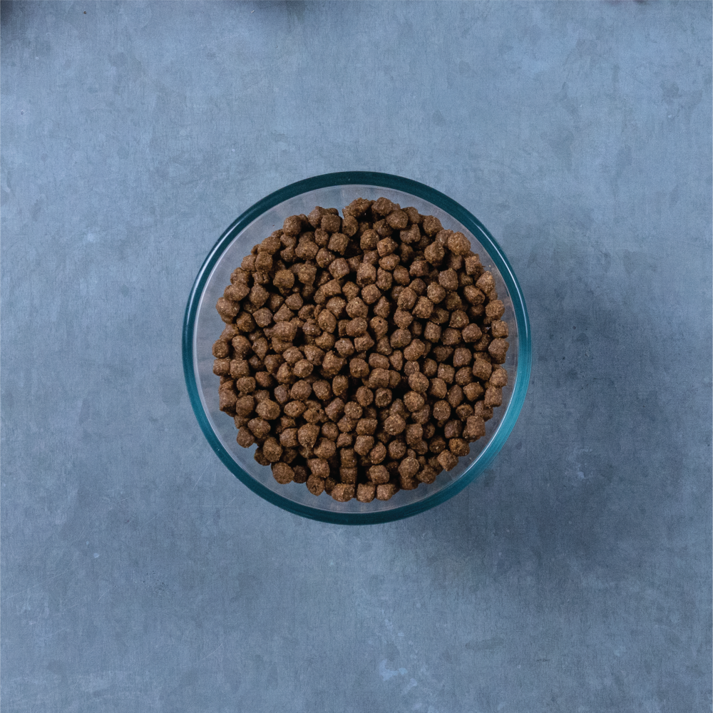Evolve Gato Classic Pollo - Alimento Holistico para Gatos