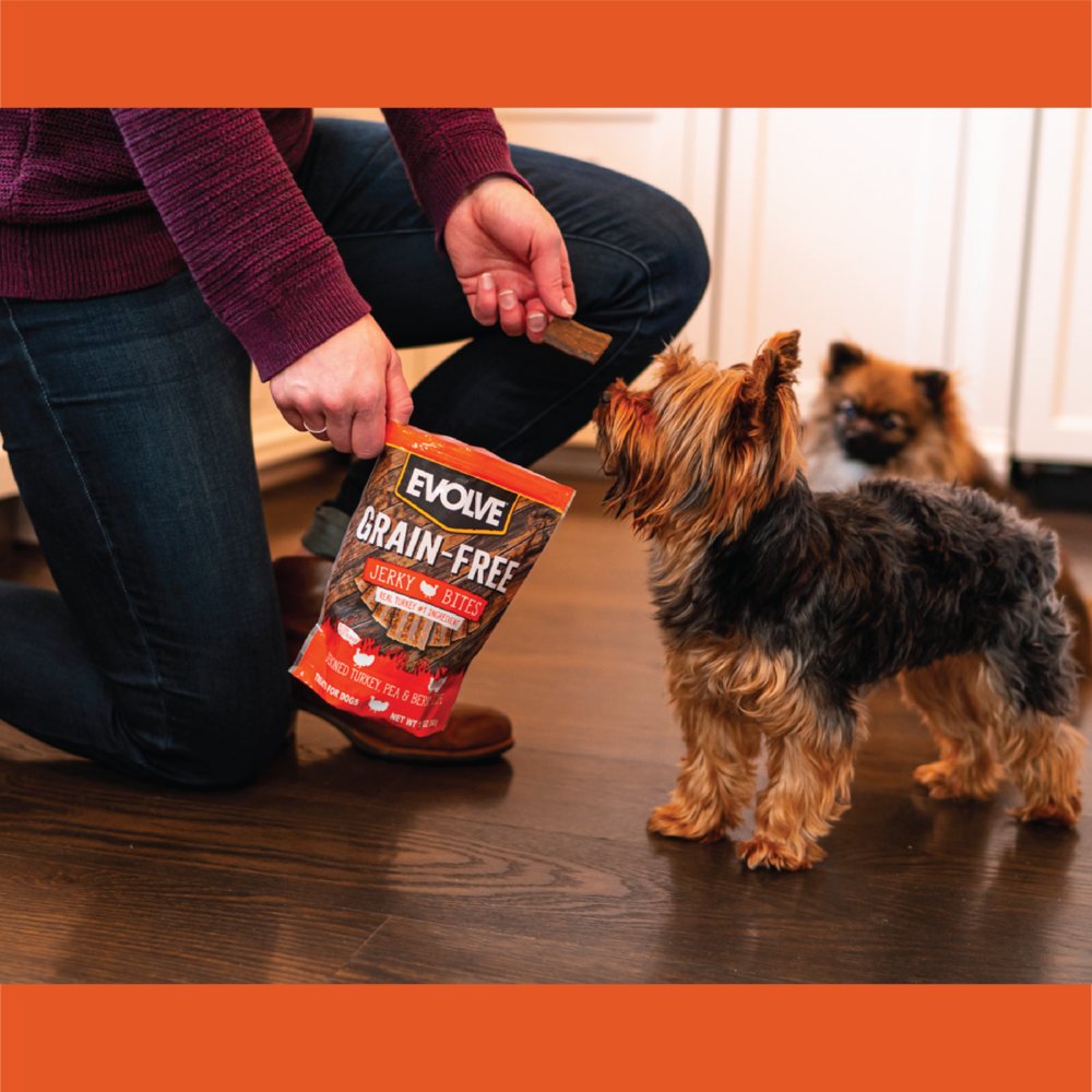 Evolve Grain Free Jerky Bites Pavo - Snacks para Perros