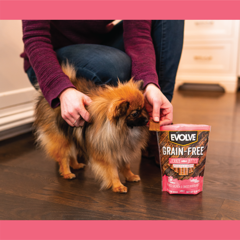 Evolve Grain Free Jerky Bites Salmón - Snacks para Perros