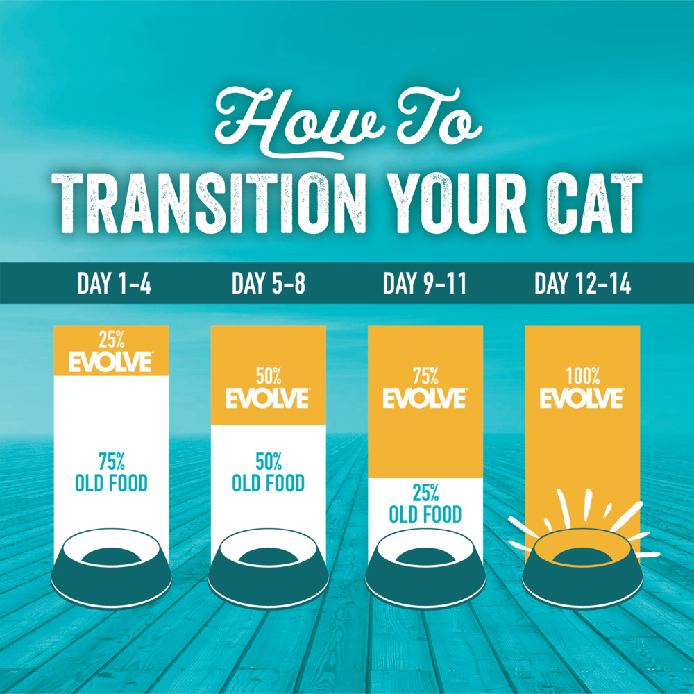 Evolve Grain Free Ocean Whitefish - Alimento Holistico para Gatos