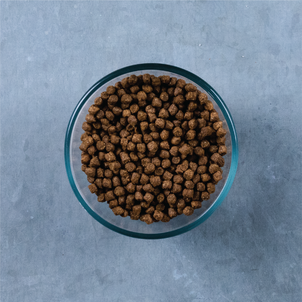 Evolve Grain Free Ocean Whitefish - Alimento Holistico para Gatos