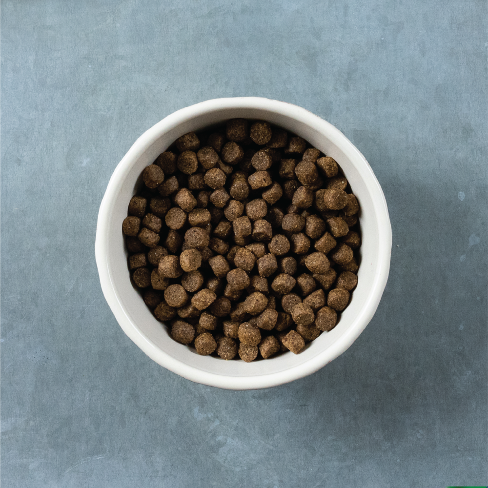 Evolve Grain Free Pavo - Alimento Holistico para Perros