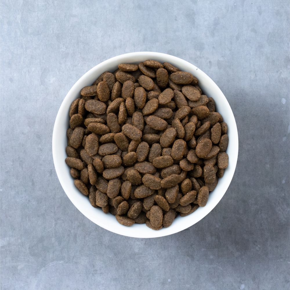 Evolve Grain Free Senior Pollo - Alimento Holistico para Perros