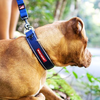 EzyDog Collar Neo Classic Chocolate - Collares para Perros