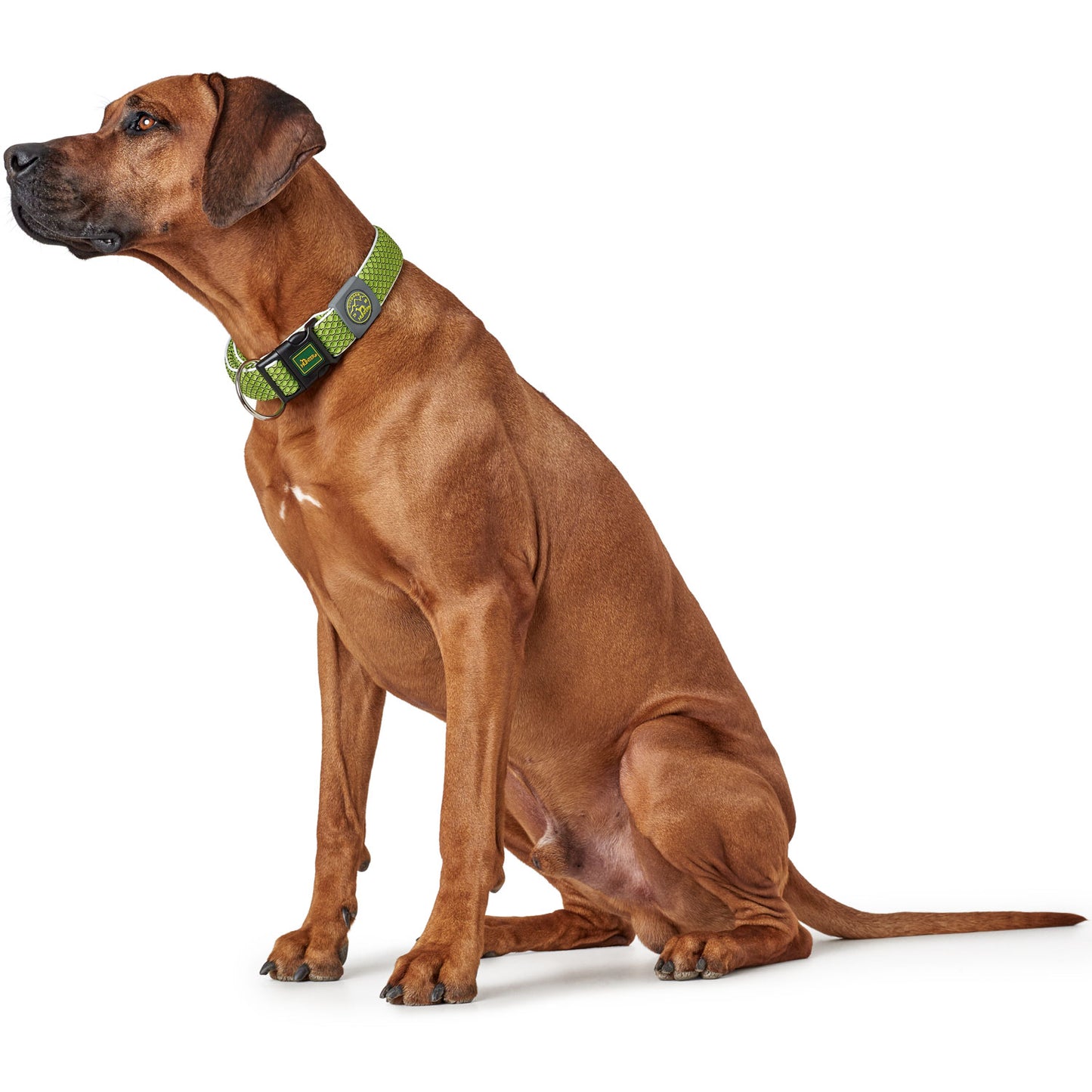 Hunter Collar Hilo Vario Plus Lime L-XL - Collares para Perros