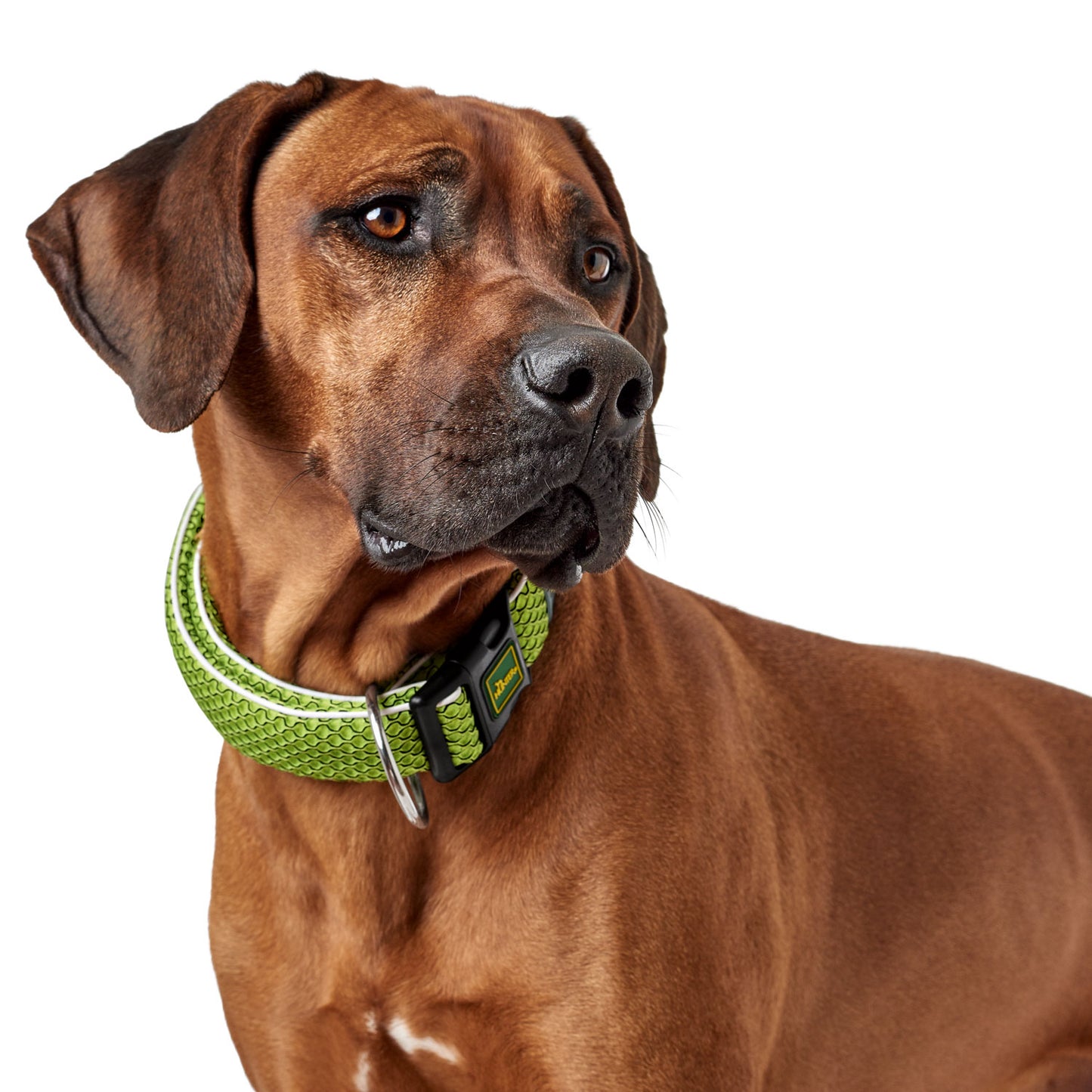 Hunter Collar Hilo Vario Plus Lime L-XL - Collares para Perros