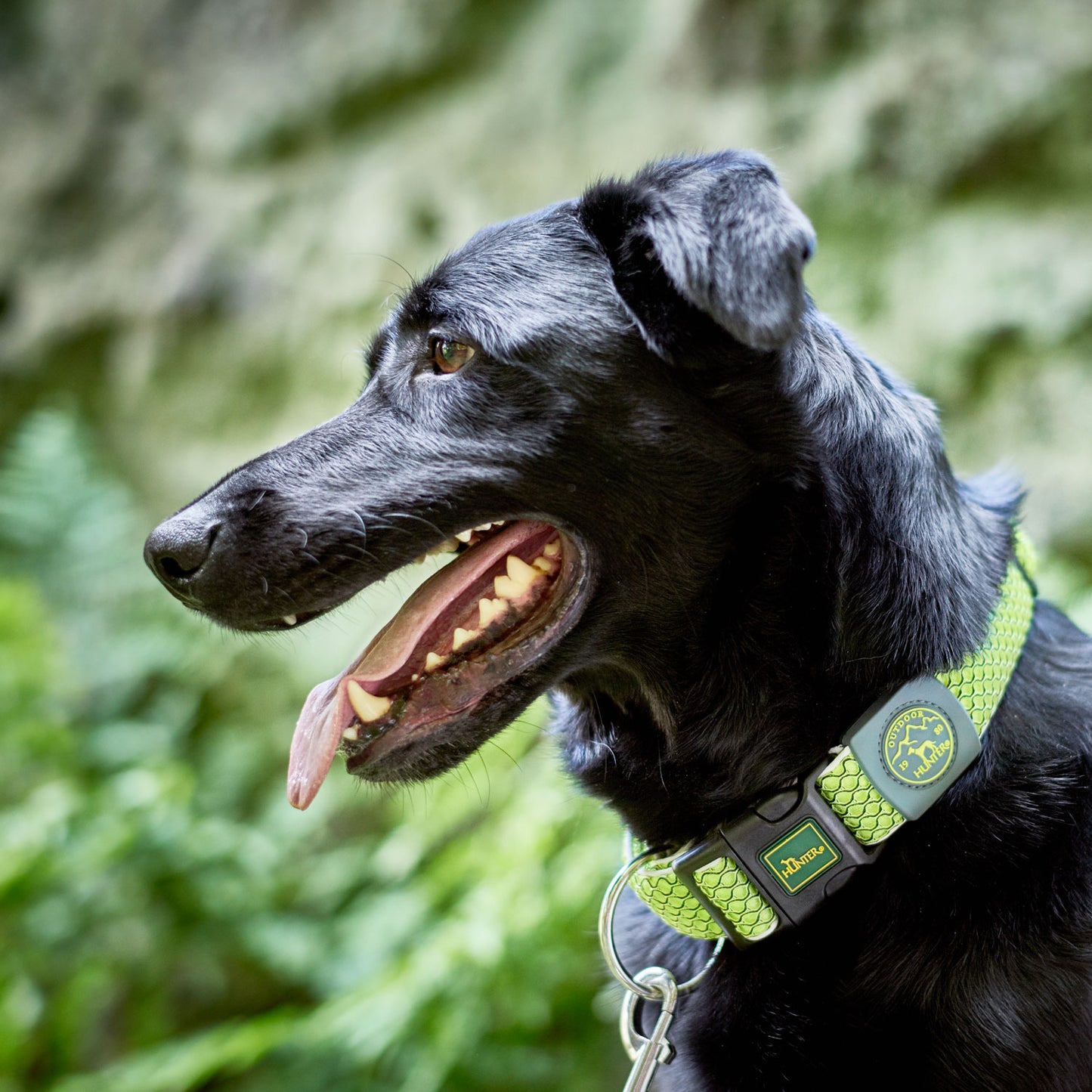 Hunter Collar Hilo Vario Plus Lime L-XL - Collares para Perros