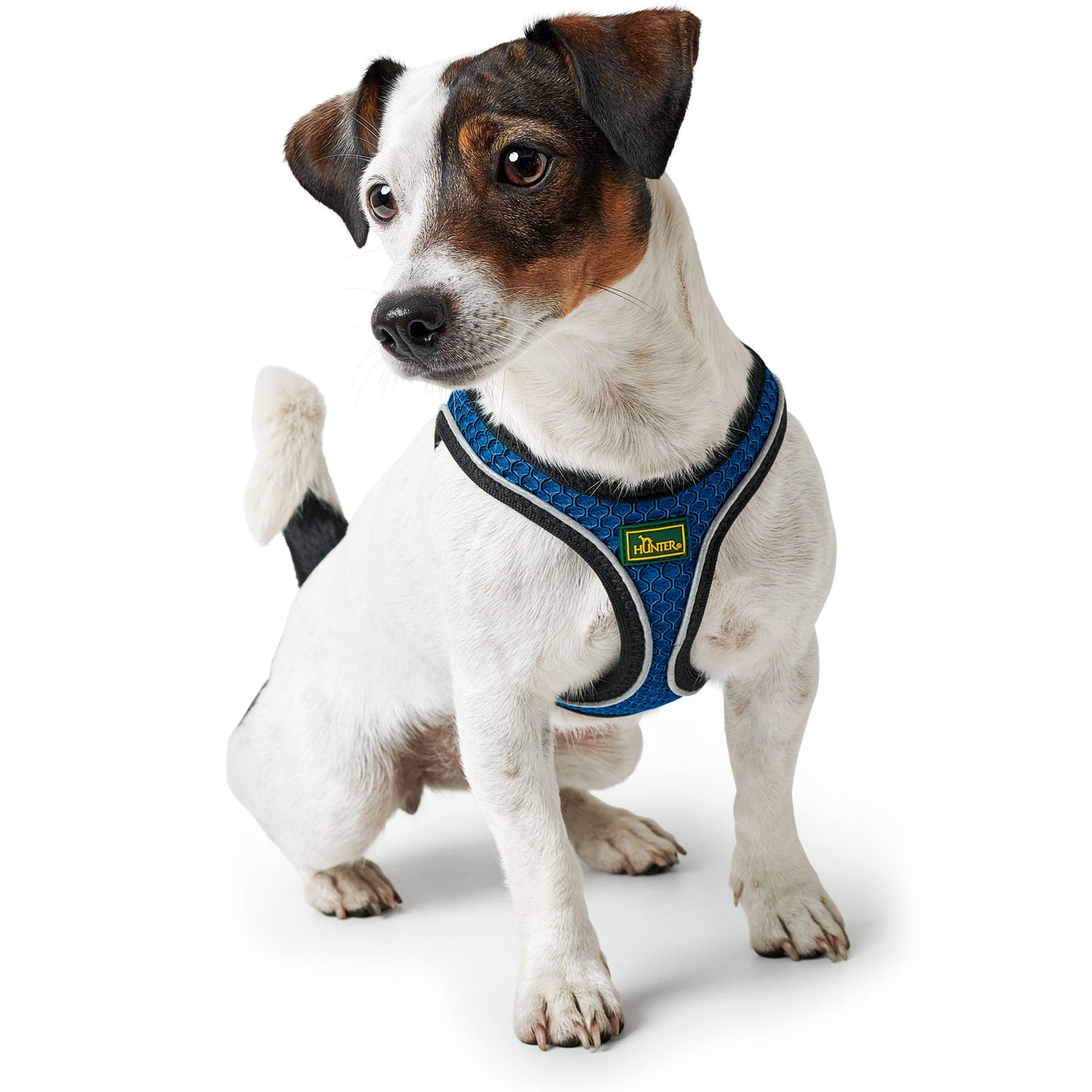 Hunter Harness Hilo Comfort Blue - Arnés para Perros