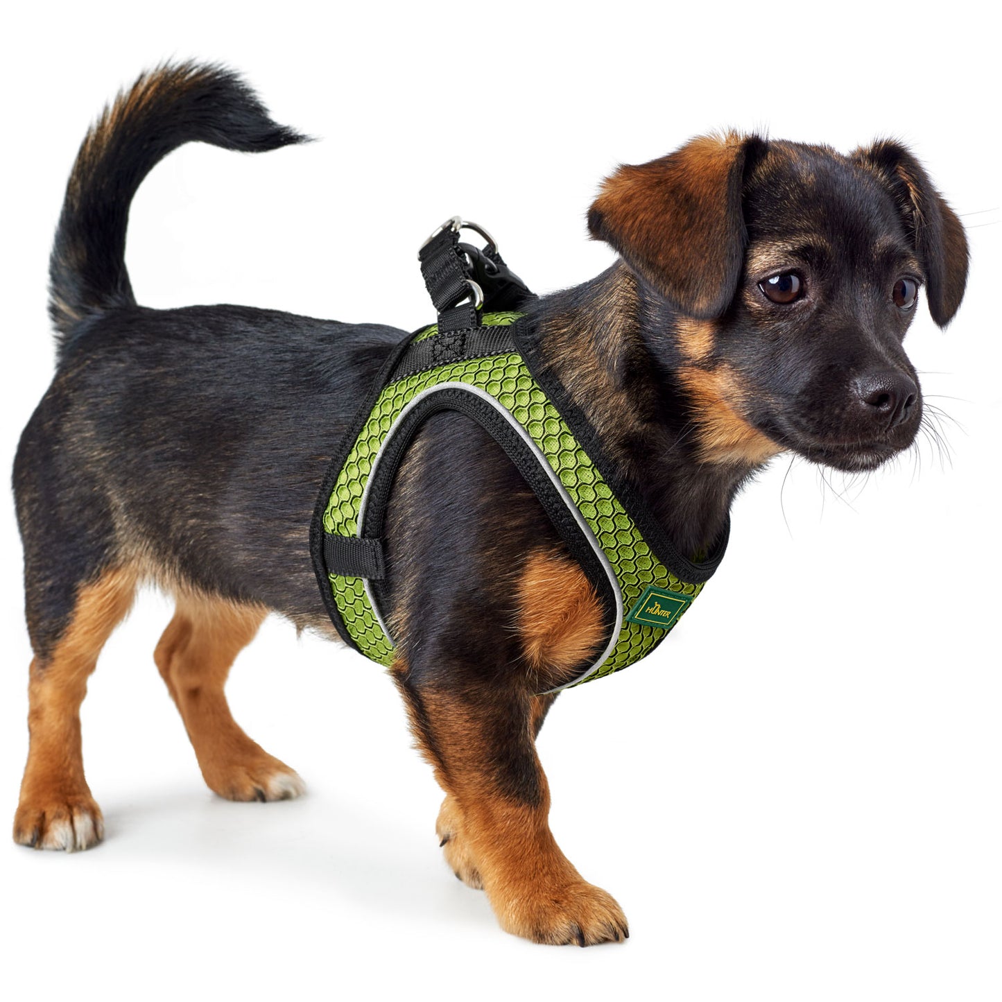 Hunter Harness Hilo Comfort Lime - Arnés para Perros