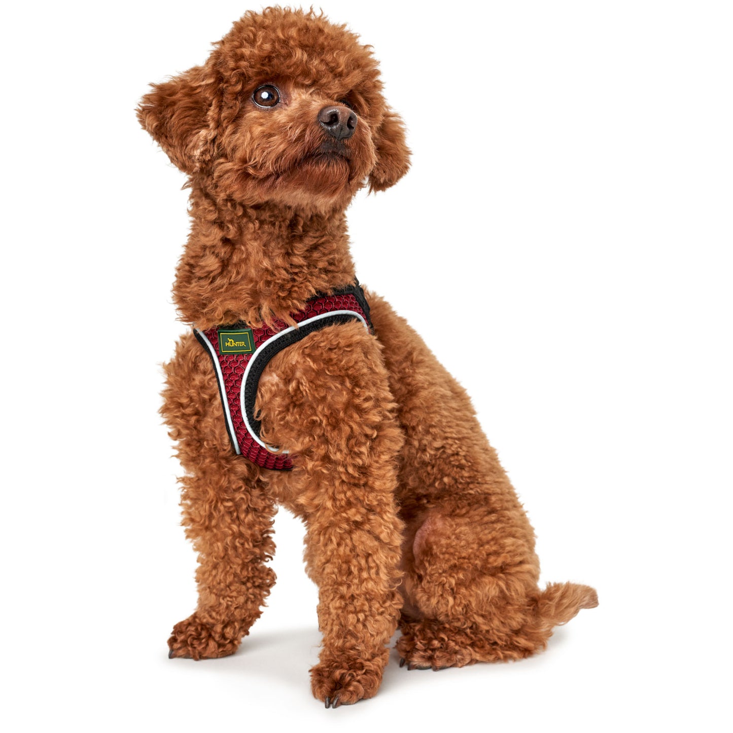Hunter Harness Hilo Comfort Red - Arnés para Perros