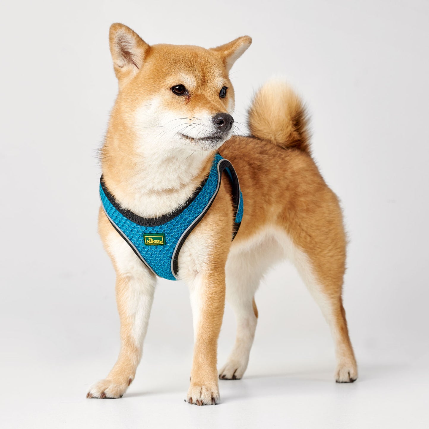 Hunter Harness Hilo Comfort Turquoise - Arnés para Perros