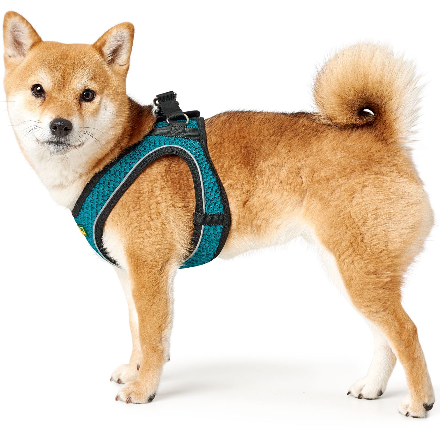 Hunter Harness Hilo Comfort Turquoise - Arnés para Perros