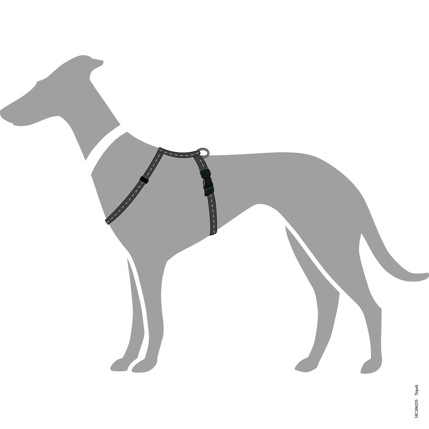 Hunter Harness Tripoli Black - Arnés para Perros