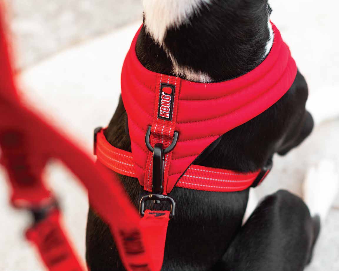 Kong Arnés Comfort Rojo - Arnés para Perros