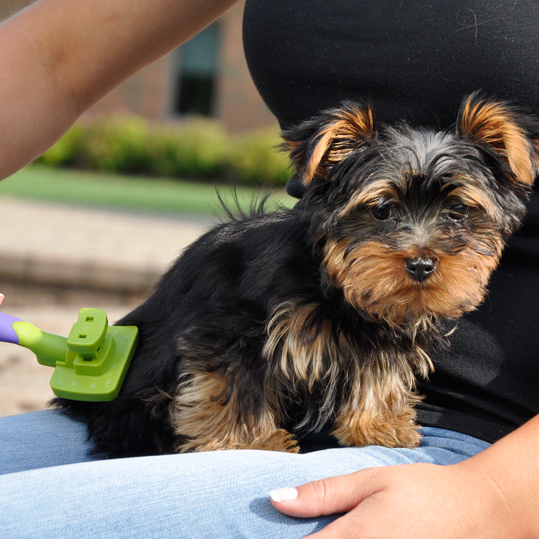 Li'l Pals Self-Cleaning Slicker Brush - Cepillos para Perros