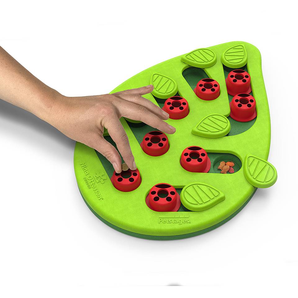 Nina Ottosson Buggin’ Out Puzzle and Play Nivel 2 - Juegos de Inteligencia para Gatos