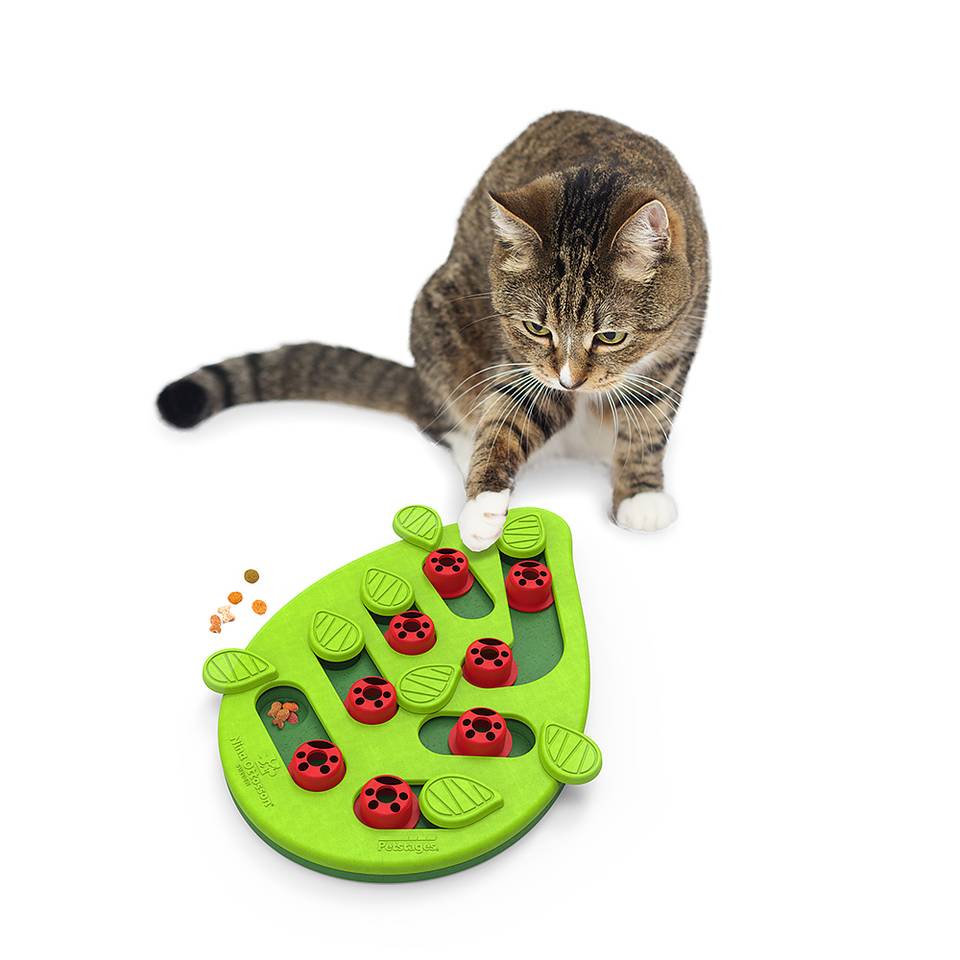 Nina Ottosson Buggin’ Out Puzzle and Play Nivel 2 - Juegos de Inteligencia para Gatos