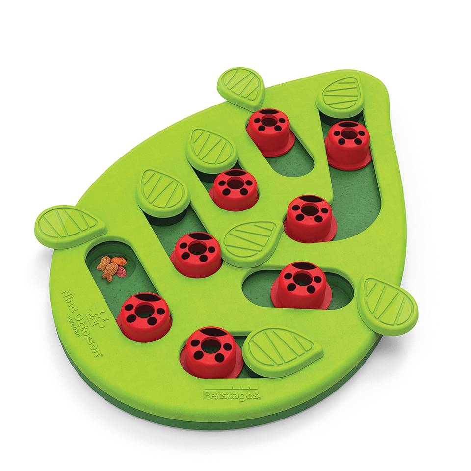Nina Ottosson Buggin’ Out Puzzle and Play Nivel 2 - Juegos de Inteligencia para Gatos