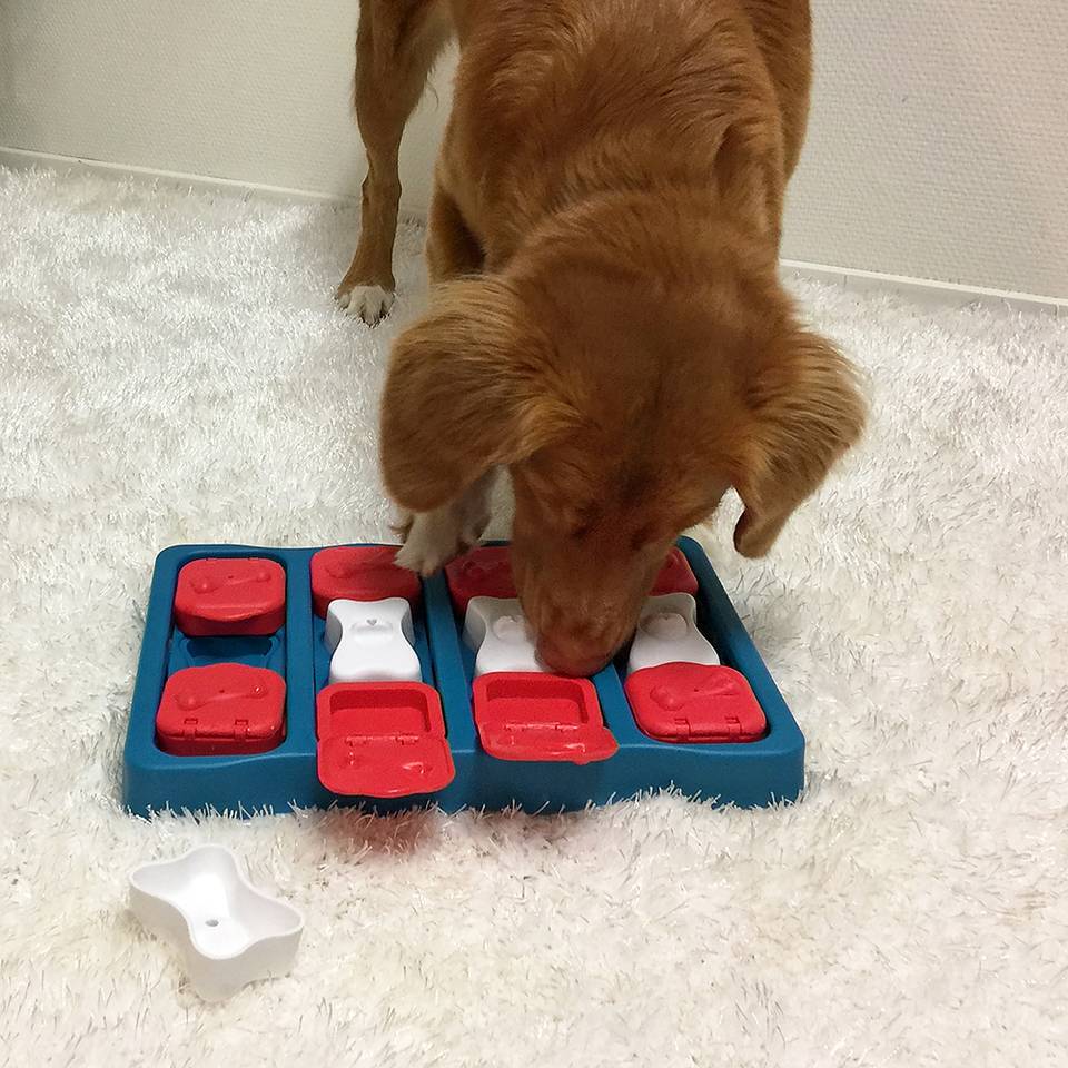 Nina Ottosson Dog Brick Nivel 2 - Juegos de Inteligencia para Perros