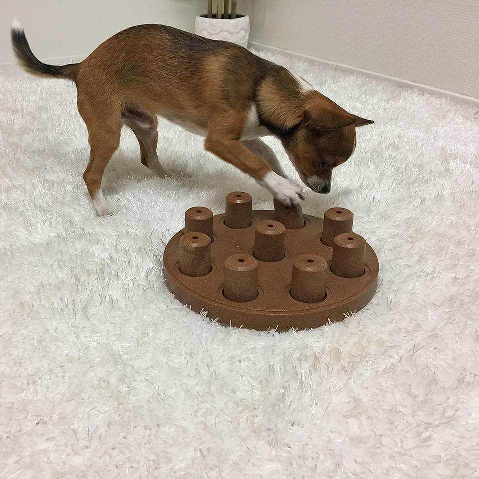Nina Ottosson Dog Smart Composite Nivel 1 - Juegos de Inteligencia para Perros