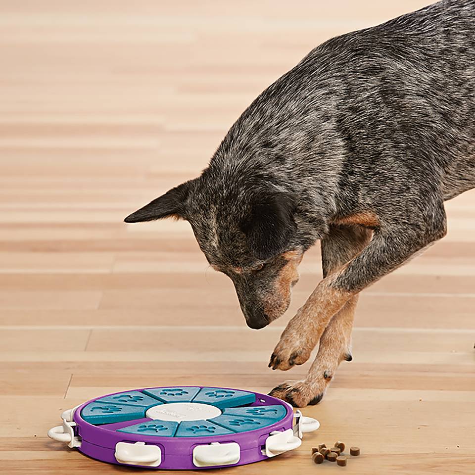 Nina Ottosson Dog Twister Nivel 3 - Juegos de Inteligencia para Gatos
