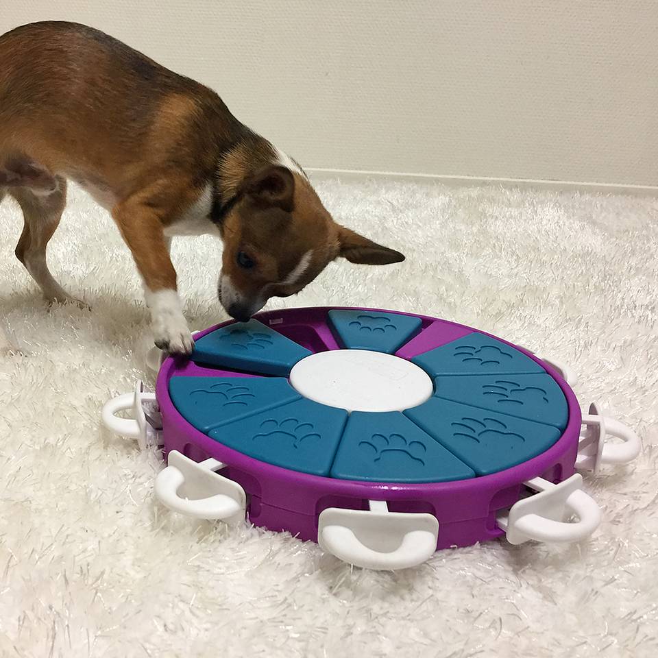 Nina Ottosson Dog Twister Nivel 3 - Juegos de Inteligencia para Gatos