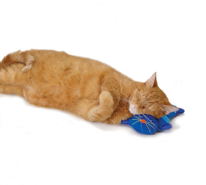 Petstages Kitty Cuddle Pal - Juguetes para Gatos