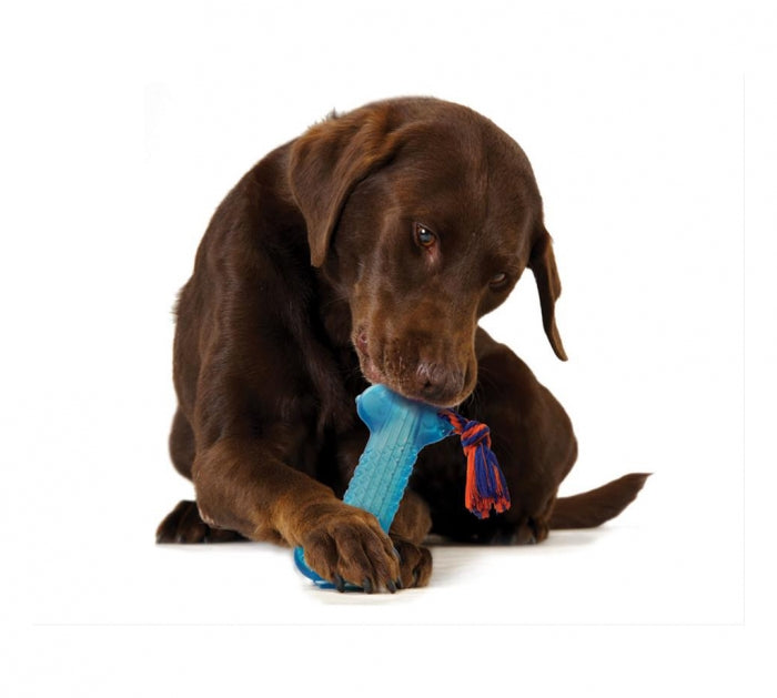 Petstages Orka Bone - Juguetes para Perros