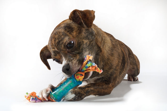 Petstages Orka Mini Dental Chew 3 Pack - Juguetes para Perros