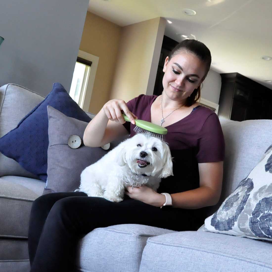 Safari Pin Brush L - Cepillos para Perros