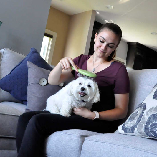 Safari Pin Brush L - Cepillos para Perros