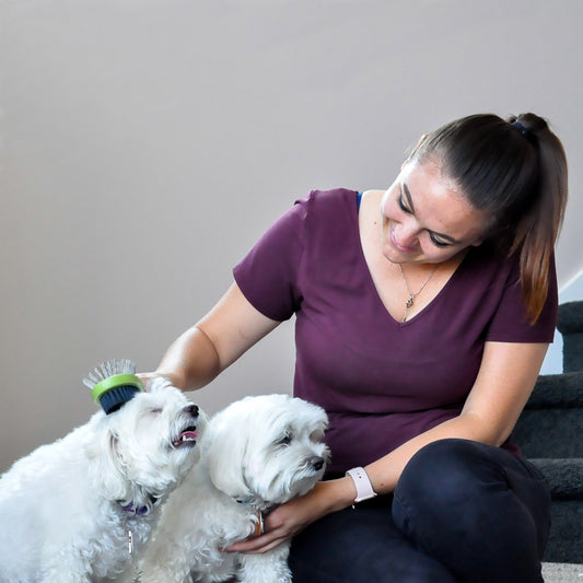 Safari Pin and Bristle Combo Brush M - Cepillos para Perros