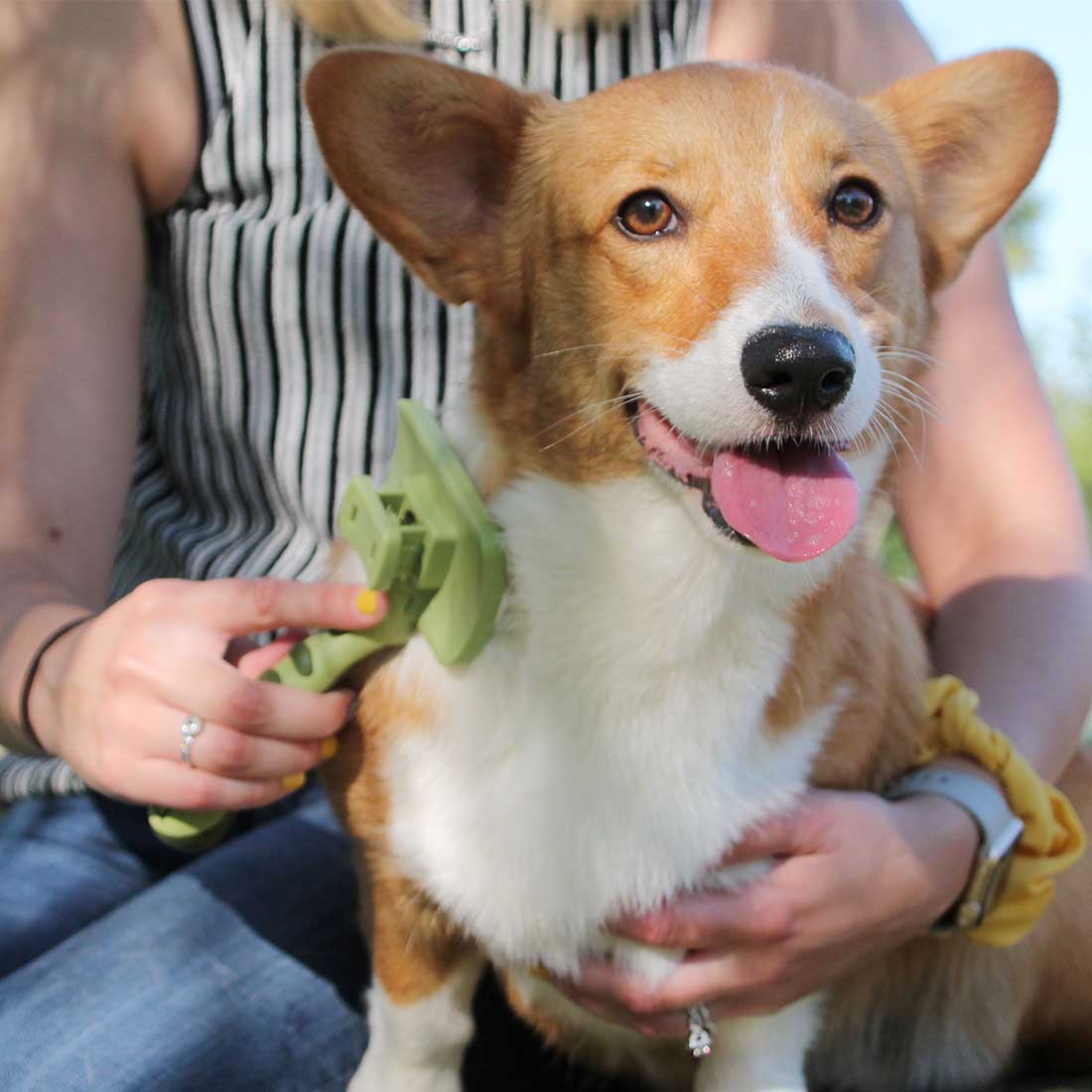 Safari Self-Cleaning Slicker Brush - Cepillos para Perros