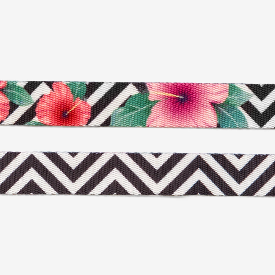 Zee.Dog Collar Mahalo - Collares para Perros
