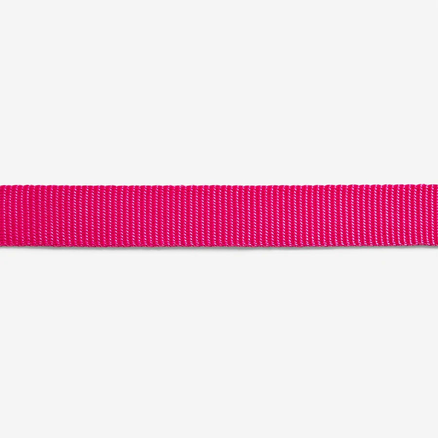 Zee.Dog Collar Pink Led - Collares para Perros