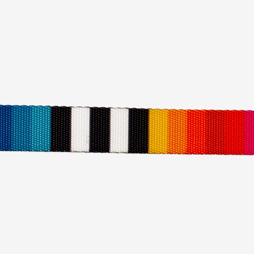 Zee.Dog Collar Prisma - Collares para Perros