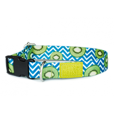 Collar Sport Kiwi - Collares para Perros y Gatos